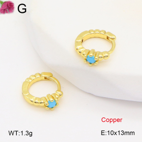 F2E402056bbov-J147  Fashion Copper Earrings