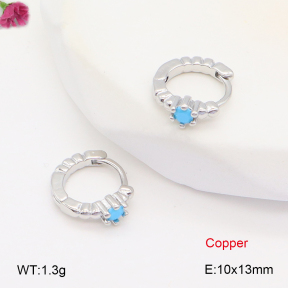 F2E402057bbov-J147  Fashion Copper Earrings