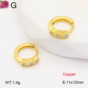 F2E402058bbov-J147  Fashion Copper Earrings