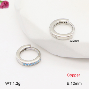 F2E402060bbov-J147  Fashion Copper Earrings