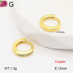 F2E402061bbov-J147  Fashion Copper Earrings