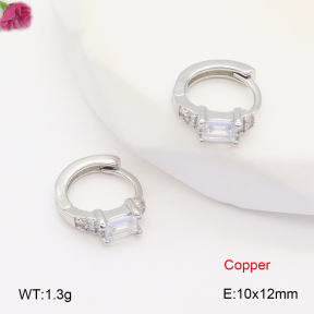 F2E402066bbov-J147  Fashion Copper Earrings