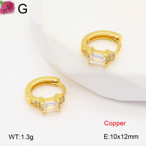 F2E402067bbov-J147  Fashion Copper Earrings