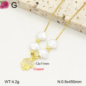 F2N300320ablb-J81  Fashion Copper Necklace