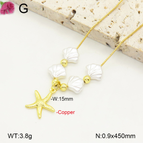 F2N300330baka-J81  Fashion Copper Necklace