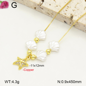 F2N300332ablb-J81  Fashion Copper Necklace
