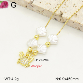 F2N300336ablb-J81  Fashion Copper Necklace