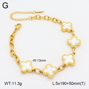 2B3003857vbnl-656  Stainless Steel Bracelet
