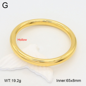 2BA201970vhha-649  Stainless Steel Bangle
