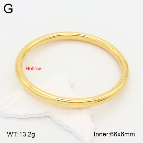 2BA201972bhva-649  Stainless Steel Bangle