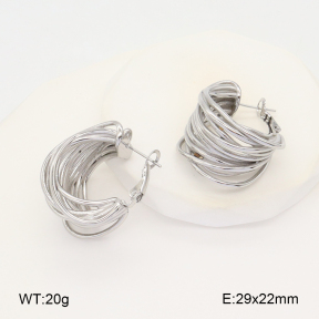 2E2005778bhva-649  Stainless Steel Earrings