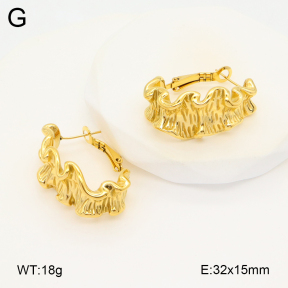 2E2005779bhia-649  Stainless Steel Earrings