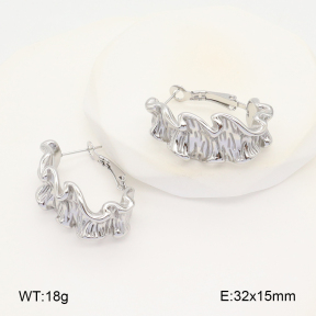 2E2005780bhva-649  Stainless Steel Earrings
