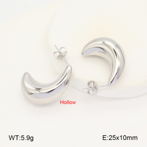 2E2005782bbml-649  Stainless Steel Earrings