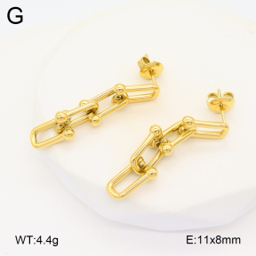 2E2005784vbnb-649  Stainless Steel Earrings