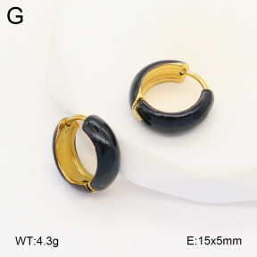 2E3003380vbll-649  Stainless Steel Earrings