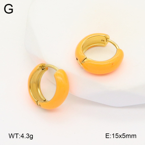 2E3003381vbll-649  Stainless Steel Earrings