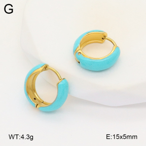 2E3003383vbll-649  Stainless Steel Earrings