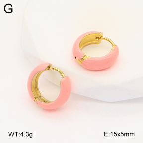 2E3003384vbll-649  Stainless Steel Earrings