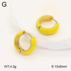 2E3003385vbll-649  Stainless Steel Earrings
