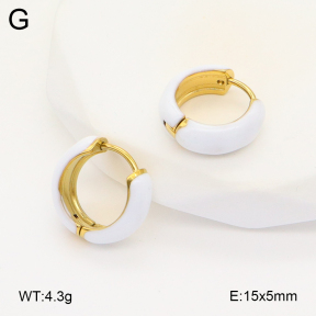 2E3003386vbll-649  Stainless Steel Earrings