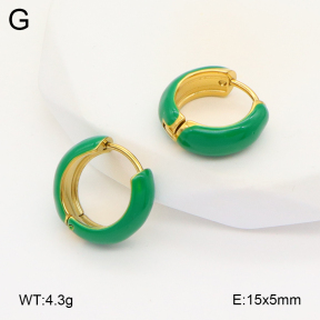 2E3003387vbll-649  Stainless Steel Earrings