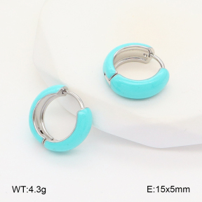 2E3003388aakl-649  Stainless Steel Earrings