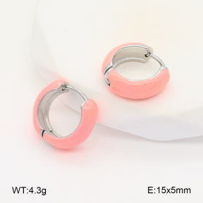 2E3003389aakl-649  Stainless Steel Earrings