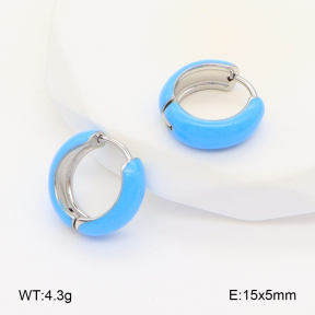2E3003390aakl-649  Stainless Steel Earrings