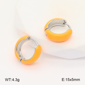 2E3003391aakl-649  Stainless Steel Earrings