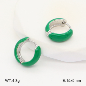 2E3003392aakl-649  Stainless Steel Earrings