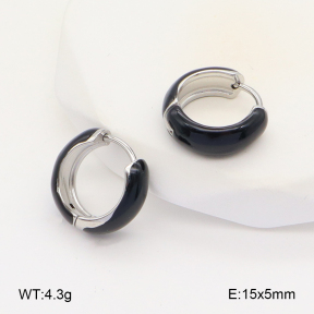 2E3003393aakl-649  Stainless Steel Earrings