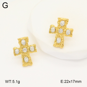 2E4004266vbpb-649  Stainless Steel Earrings