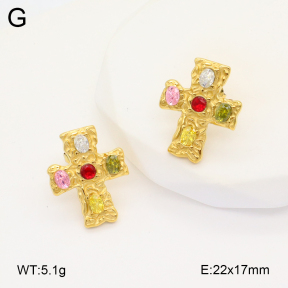 2E4004267vbpb-649  Stainless Steel Earrings