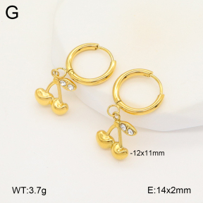 2E4004268vbmb-649  Stainless Steel Earrings