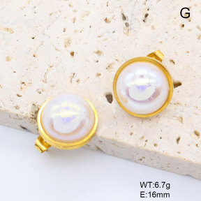 6E3002695aajl-704  Stainless Steel Earrings