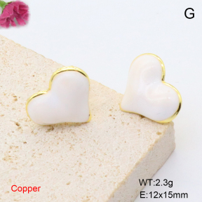 F6E301988ablb-L002  Fashion Copper Earrings