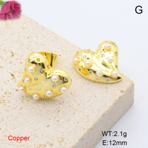 F6E301992aajl-L002  Fashion Copper Earrings