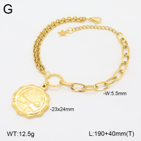 2B2004007vhha-377  Stainless Steel Bracelet