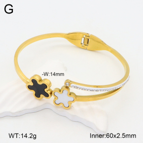 2BA402147vbpb-377  Stainless Steel Bangle
