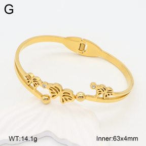 2BA402149bbov-377  Stainless Steel Bangle