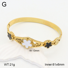 2BA402150vbpb-377  Stainless Steel Bangle