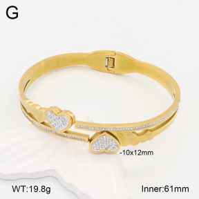2BA402159vbpb-377  Stainless Steel Bangle