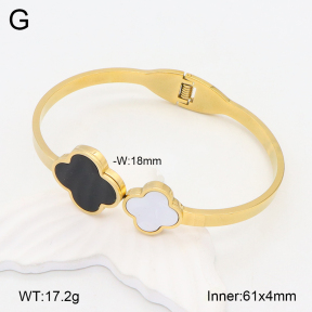 2BA402160vbnb-377  Stainless Steel Bangle