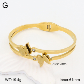 2BA402161vbnb-377  Stainless Steel Bangle