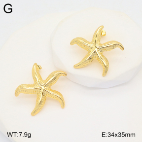 2E2005785avja-312  Stainless Steel Earrings