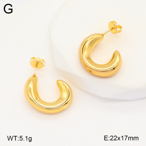 2E2005786vbmb-312  Stainless Steel Earrings