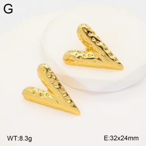 2E2005787avja-312  Stainless Steel Earrings