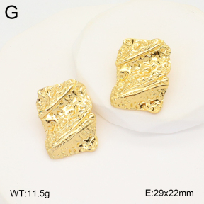2E2005788avja-312  Stainless Steel Earrings