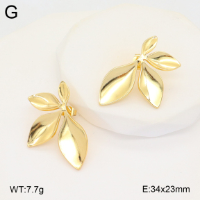 2E2005790avja-312  Stainless Steel Earrings